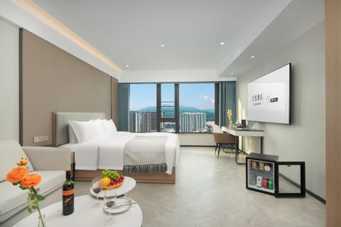 Luxury Double Room Single Use, City View | Desk, laptop workspace, free WiFi