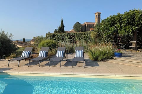 Comfortable loungers and umbrellas for shade