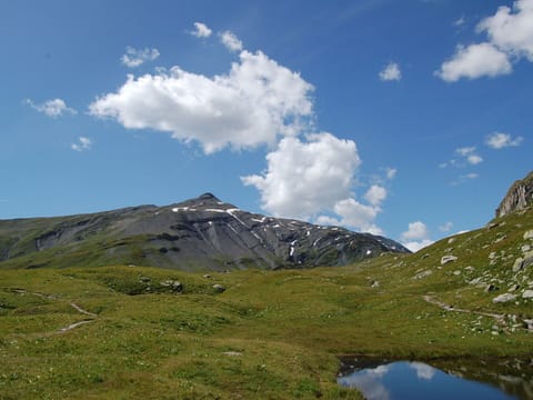 Mountain, Mountainous Landforms, Hill, Grassland, Highland, Mountain Range, Wilderness, Terrain, Landscape, Ridge