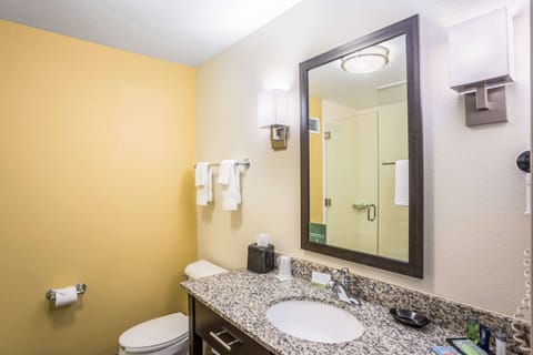 Room, 1 King Bed | Bathroom | Hair dryer, towels