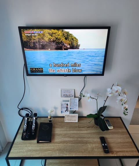 Television