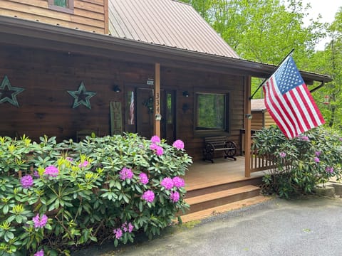 Front of Cabin - Porch