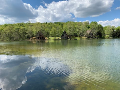 Standing at the edge of the yard looking across the lake.