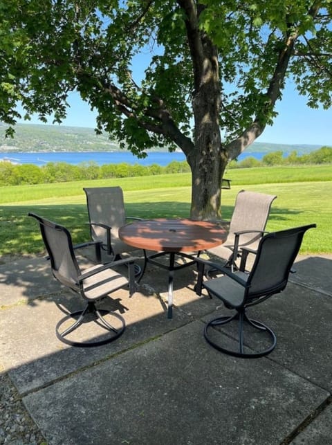 Outdoor patio with gas grill and amazing views of Seneca Lake & the sunsets!