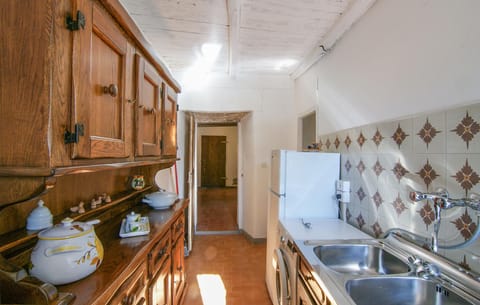 Fridge, oven, stovetop