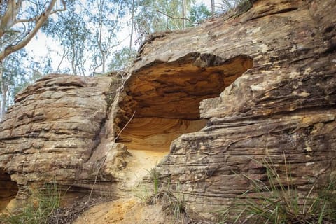 The cave located just 30 metres below the bus is a private place to meditate.