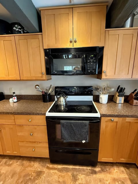 Electric stove and microwave 