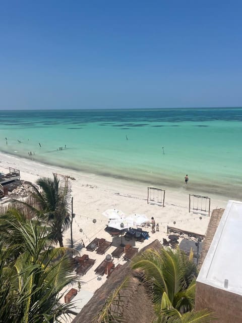 Beach umbrellas