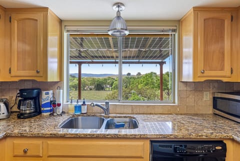 Kitchen vineyard views