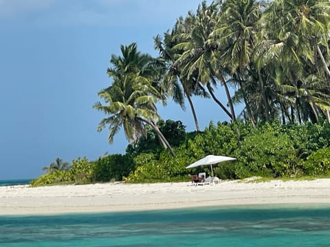 Beach nearby, white sand