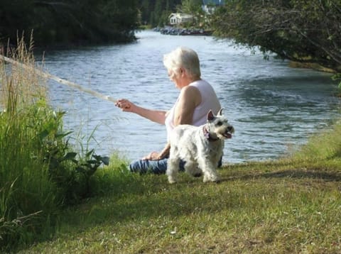 Pet-friendly