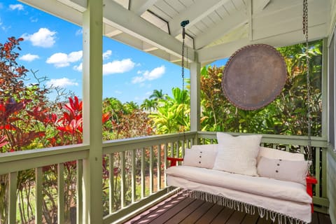 Swing and Listen to the Tropical Songbirds