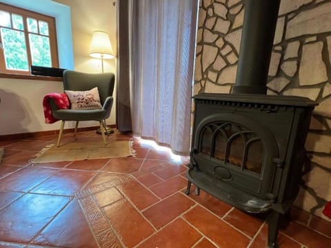 Flooring, Floor, Hearth, Wood Stain, Tile, Brick, Wood Flooring, Natural Material, Living Room, Wood-Burning Stove