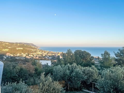 Furniture, Outdoor Furniture, Chair, Garden, Flowerpot, Patio, Outdoor Table, Estate, Houseplant, Landscaping