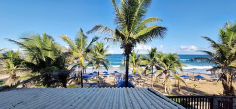 Panoramic Apartment | Beach | On the beach