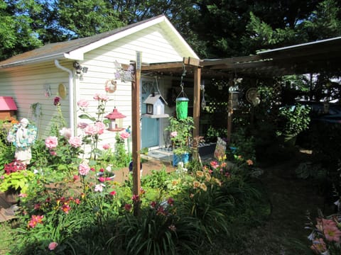 Front area