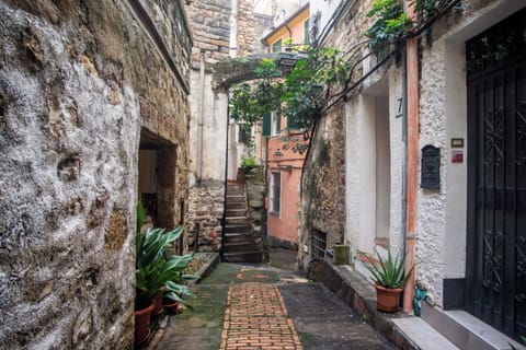 Family Studio (Casanova) | Property grounds