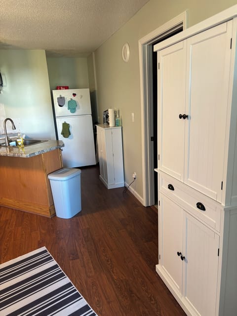 Kitchen and some storage