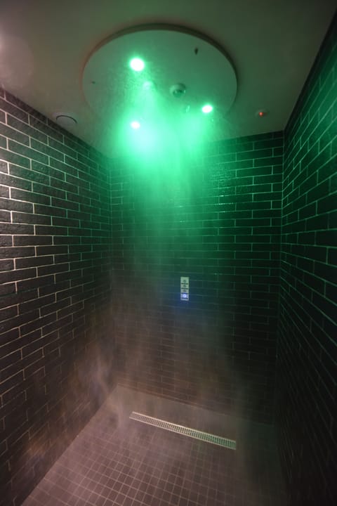 Sauna, steam room