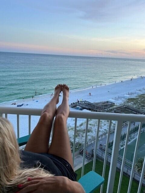 Relax and Watch the Dolphins Play!