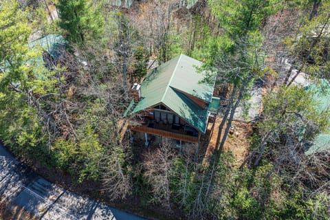 aerial shot