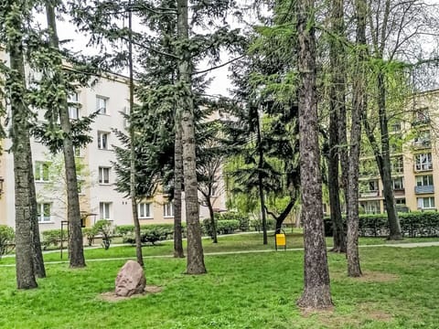 Tree, Leaf, Public Space, Residential Area, Apartment, Condominium, Spring, Woody Plant, Lawn, Garden