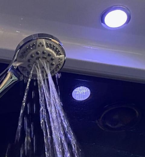 Hand-held showerhead
