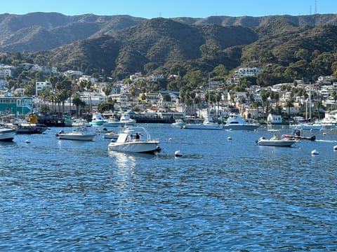 Catalina Island (access with ferry)