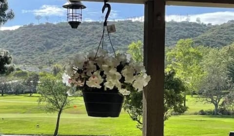 View from furnished terrace