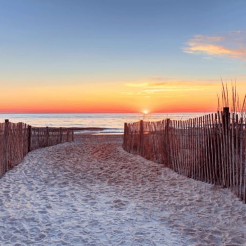 Beach