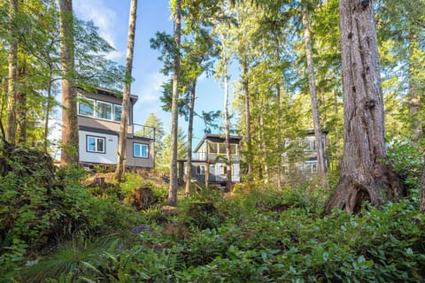 South Swell Cabins