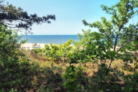 Immediate Surroundings [summer] (<1 km)