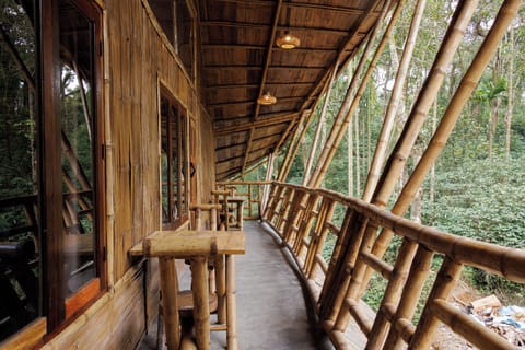 Premium Shared Dormitory | Balcony view