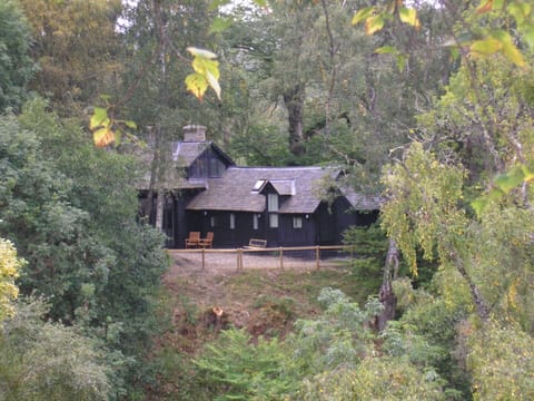 Tree, Wood, House, Cottage, Home, Rural Area, Forest, Woodland, Village