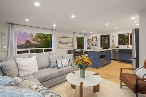 Canned lighting lights the space well, much of the day you don't need them. 