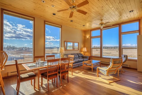 Dining/Living Room Area w/ Lots of Natural Light