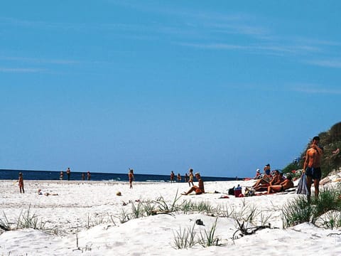 House | Beach