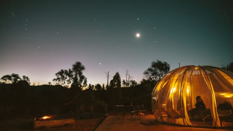 Bubble night time view