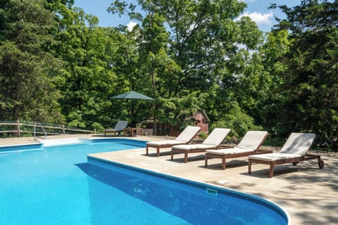 Enjoy a dip in the pool, surrounded by trees and under the open sky.