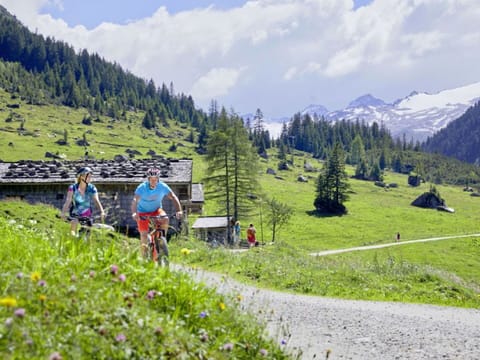 Mountainous Landforms, Mountain, Bicycle, Bicycle Wheel, Mountain Range, Highland, Hill, Recreation
