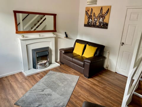 House | Living area | TV, fireplace