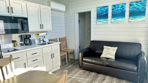 Main Living Area - Kitchen - TV with Roku & Couch that folds out to Full size Bed
