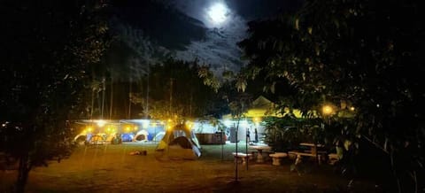Basic Tent | 10 bedrooms, WiFi (free)