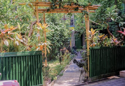 Garden view