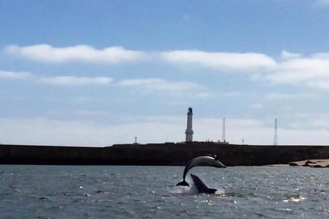 Surroundings [summer] (1-5 km)