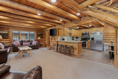 Main Cabin - Living Room / Kitchen