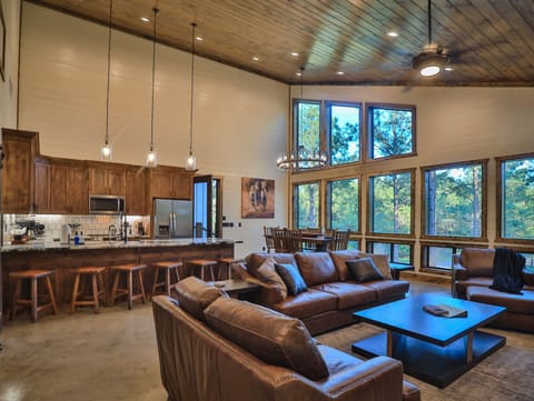 Living room/Open Kitchen