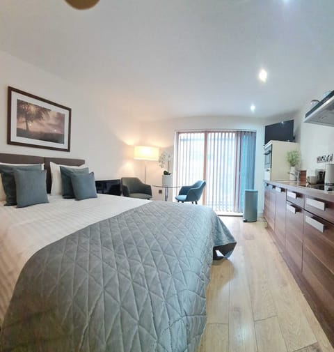 Classic Apartment, 1 King Bed, Non Smoking | Living area | Flat-screen TV