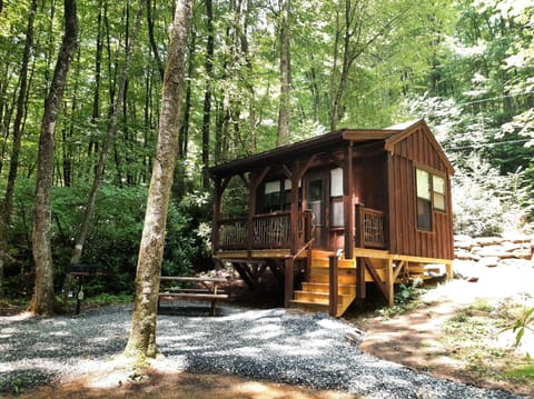 Creekside yard and amenities!