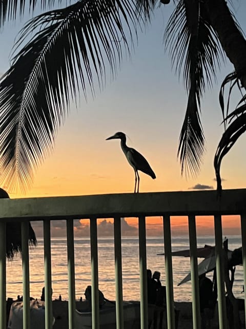 One of many captured sunsets from the kitchen window.